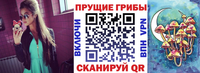 наркошоп Кольчугино Галлюциногенные грибы Psilocybe