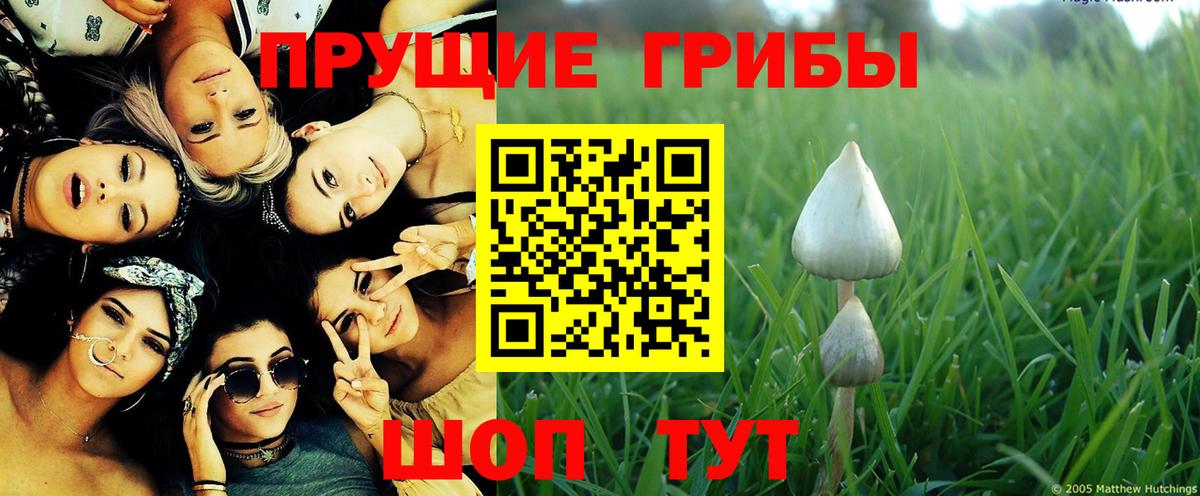 Галлюциногенные грибы ЛСД Кольчугино