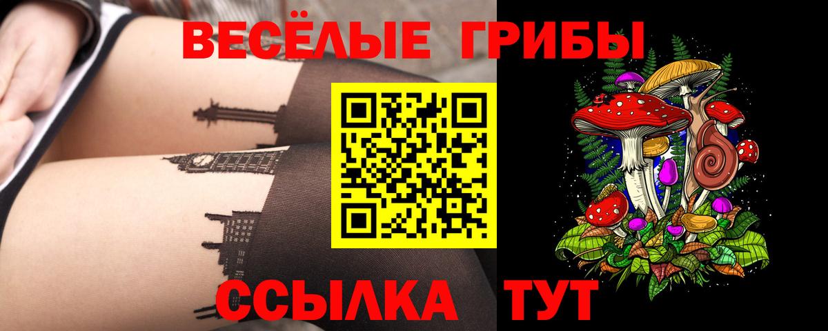 Кольчугино  Псилоцибиновые грибы Cubensis  что такое наркотик  Вход с VPN  Псилоцибиновые грибы мухоморы 